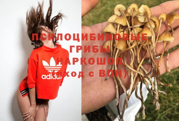 гашик Семикаракорск