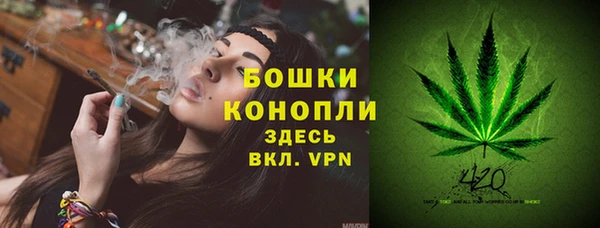 гашик Семикаракорск