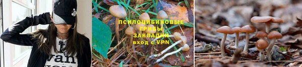 ешки Себеж