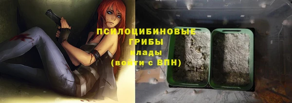 соль ск Семёнов