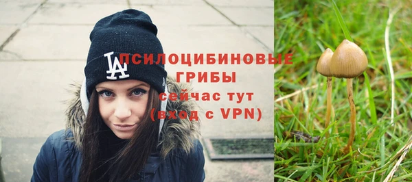 соль ск Семёнов