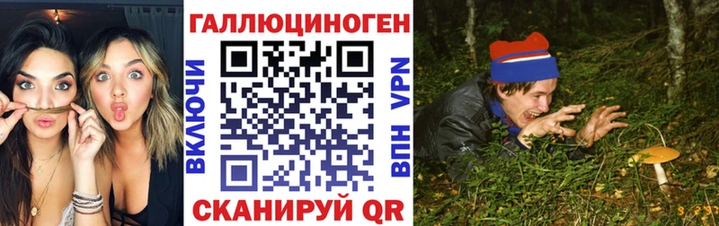 Галлюциногенные грибы Psilocybe Солигалич