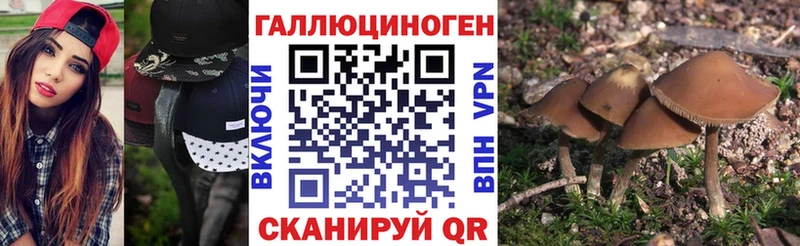Псилоцибиновые грибы MAGIC MUSHROOMS  Солигалич 